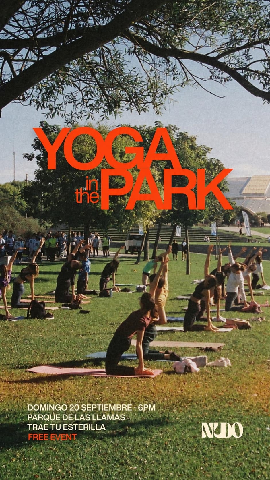 Yoga in the Park
