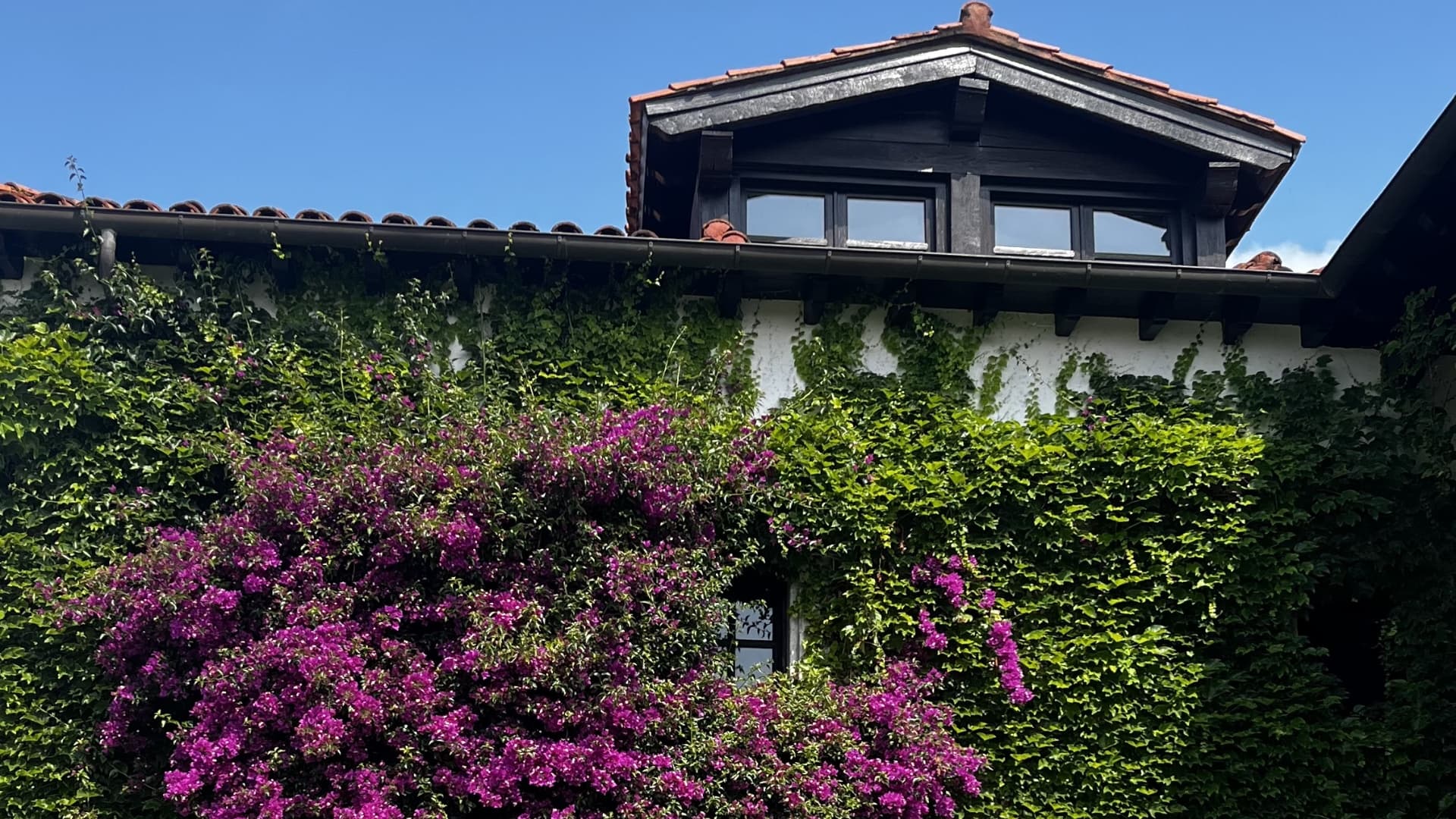 YOGA + BRUNCH - NUDO X CASONA DE SUESA