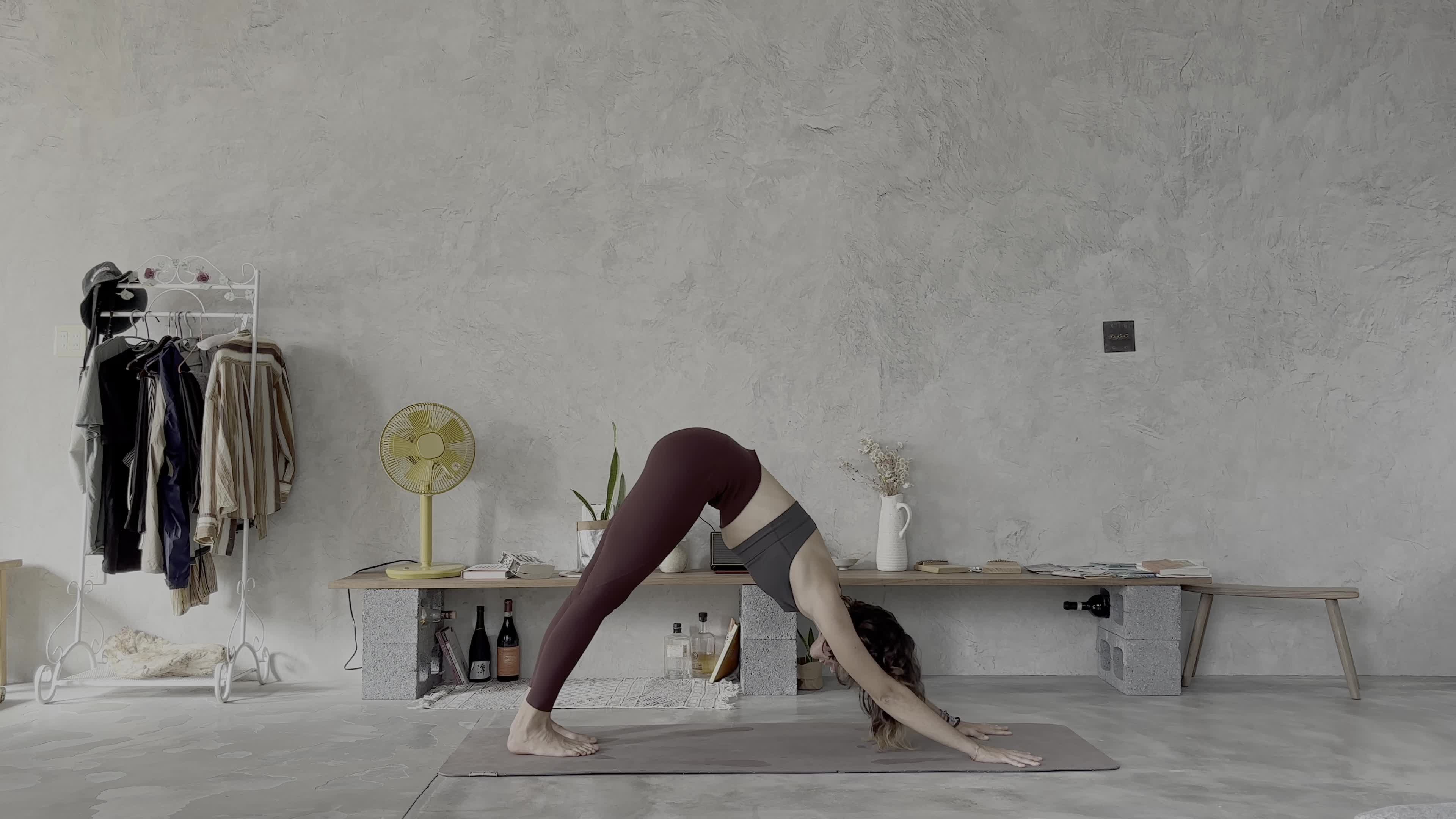 Hemos venido a jugar